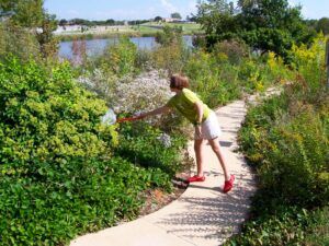 OKC Zoo Celebrates 20 Years as an Accredited Botanical Garden, Living Museum by Darla Shelden